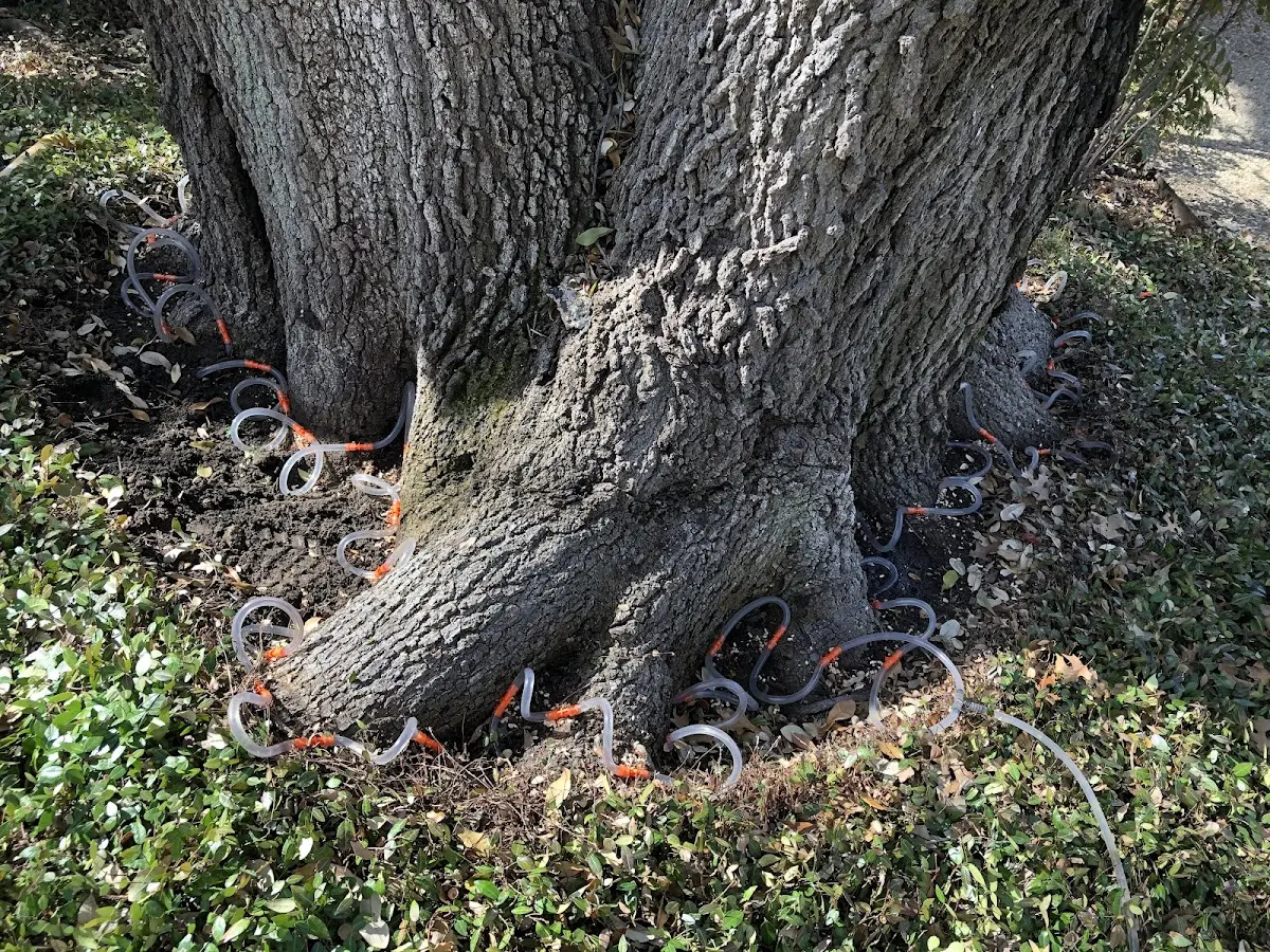 Detailed Shrub and Hedge Trimming job site in Cabot